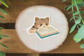 Reading Cat - Sticker